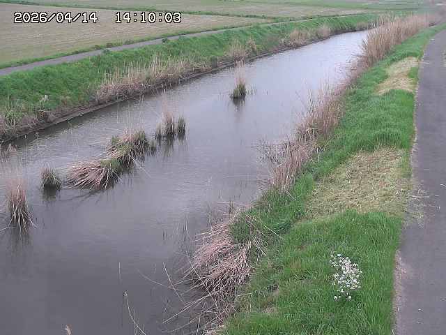 由良川３2026/04/14 17:00:00