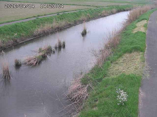 由良川３2026/04/14 17:00:00