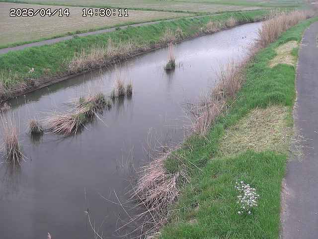 由良川３2026/04/14 17:00:00