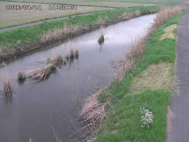 由良川３2026/04/14 17:00:00