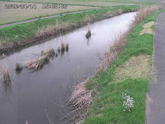 由良川３2026/04/14 17:00:00