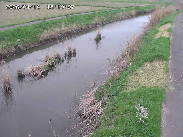 由良川３2026/04/14 17:00:00