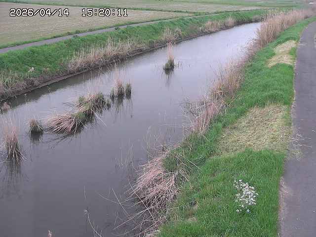 由良川３2026/04/14 17:00:00