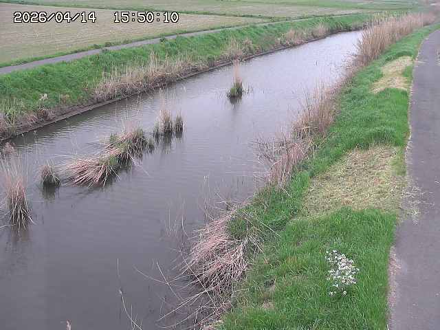 由良川３2026/04/14 17:00:00