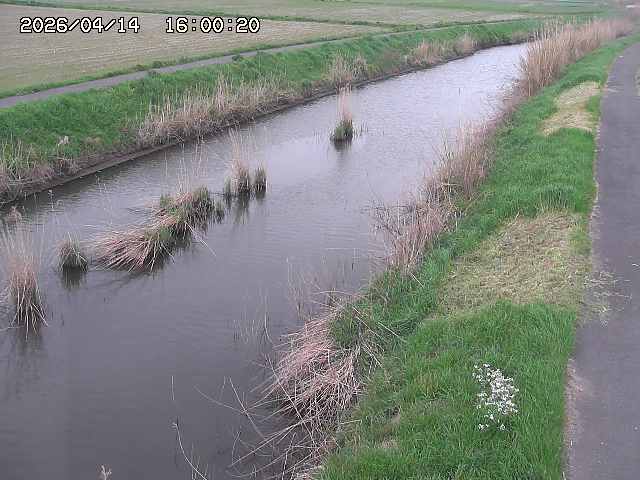 由良川３2026/04/14 17:00:00