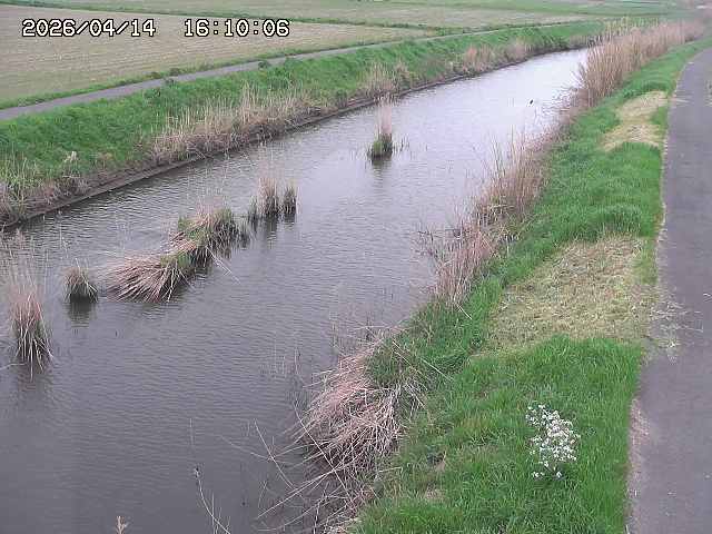 由良川３2026/04/14 17:00:00