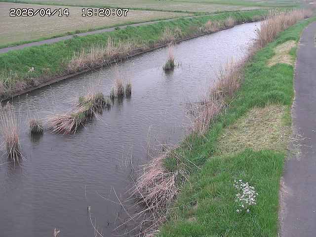 由良川３2026/04/14 17:00:00