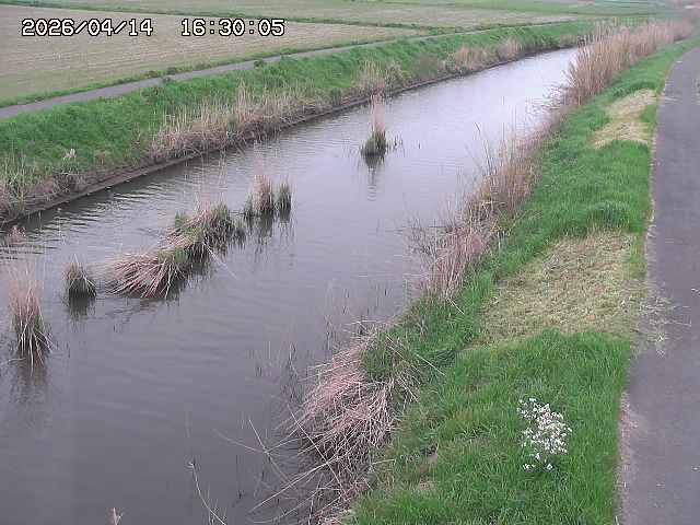 由良川３2026/04/14 17:00:00