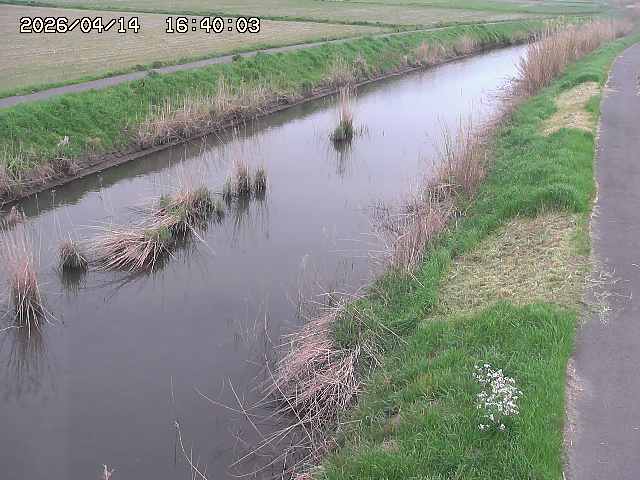 由良川３2026/04/14 17:00:00