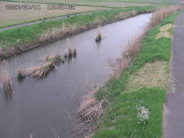 由良川３2026/04/14 17:00:00