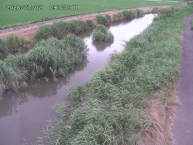 由良川３2026/07/03 8:30:00