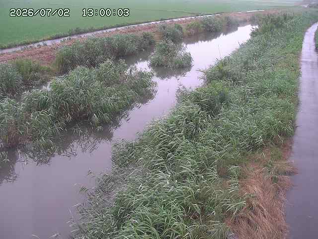 由良川３2026/07/03 8:30:00