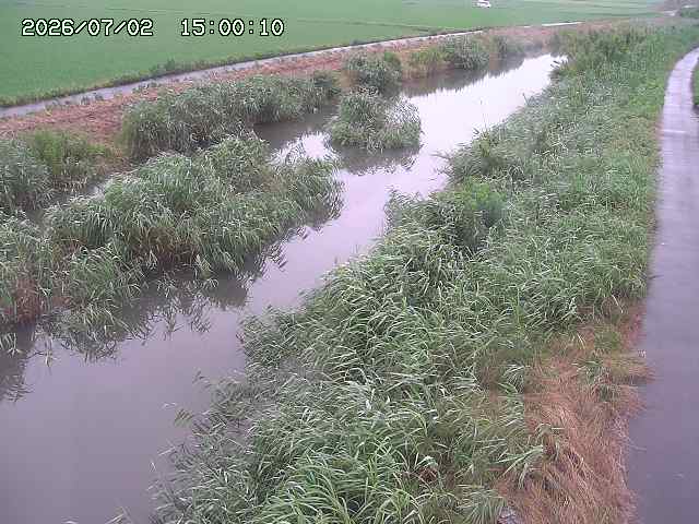 由良川３2026/07/03 8:30:00