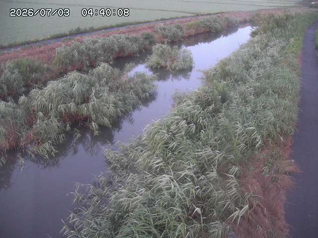 由良川３2026/07/03 8:30:00