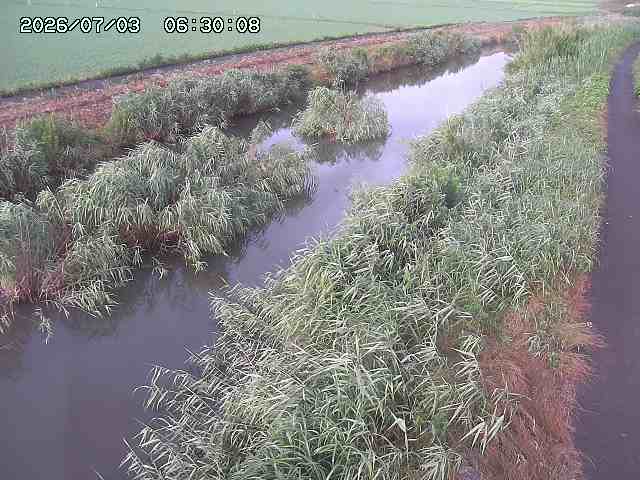 由良川３2026/07/03 8:30:00