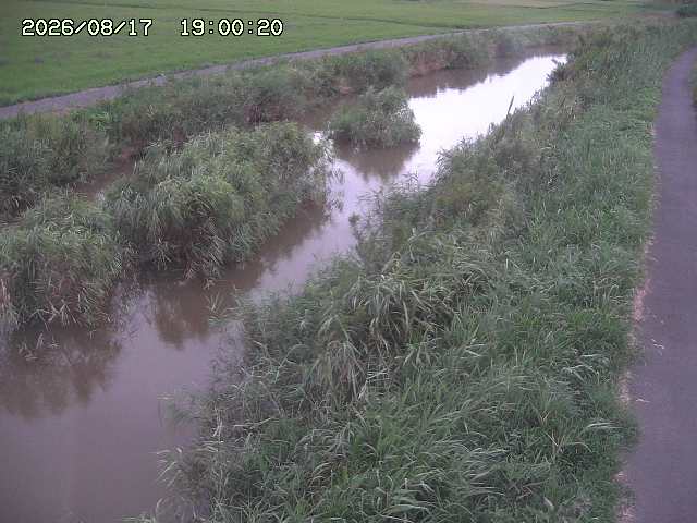 由良川３2026/08/17 20:40:00