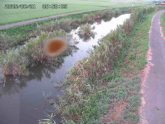 由良川３2025/08/31 9:20:00