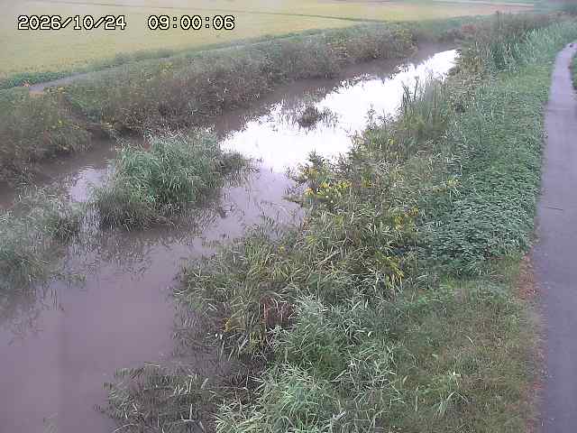由良川３2026/10/24 22:50:00