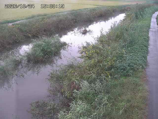 由良川３2026/10/24 22:50:00