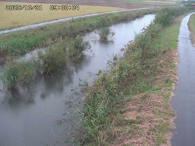 由良川32025/10/31 23:50:00