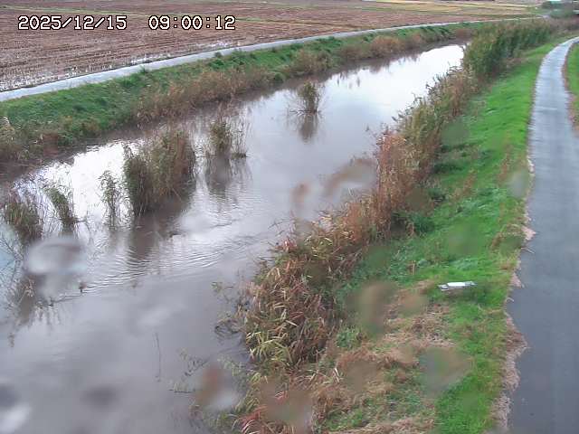 由良川３2025/12/16 8:50:00