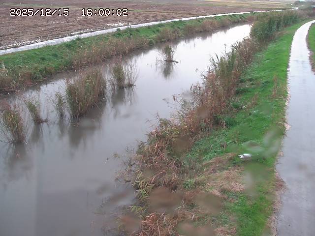 由良川３2025/12/16 8:50:00