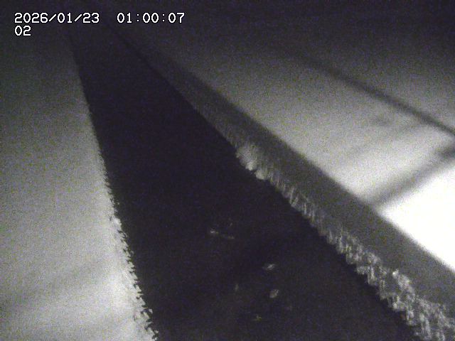 大倉川１2026/01/24 1:40:00