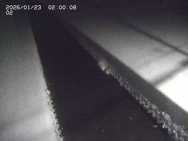 大倉川１2026/01/24 1:40:00