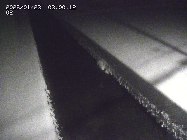 大倉川１2026/01/24 1:40:00