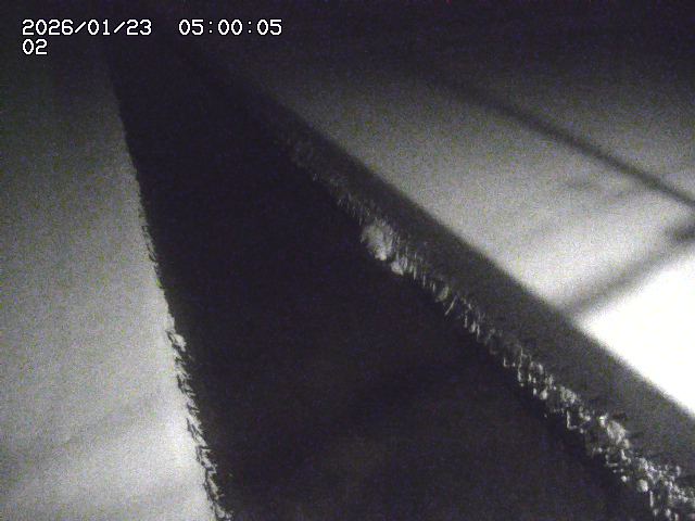 大倉川１2026/01/24 1:40:00