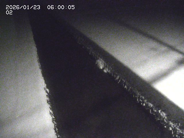 大倉川１2026/01/24 1:40:00