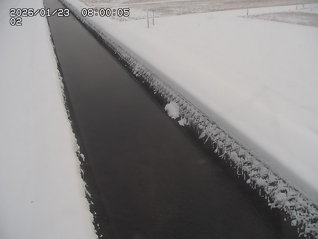 大倉川１2026/01/24 1:40:00