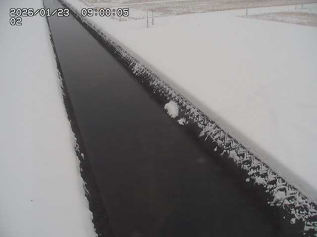 大倉川１2026/01/24 1:40:00