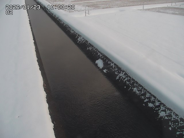 大倉川１2026/01/24 1:40:00