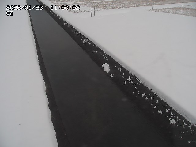 大倉川１2026/01/24 1:40:00