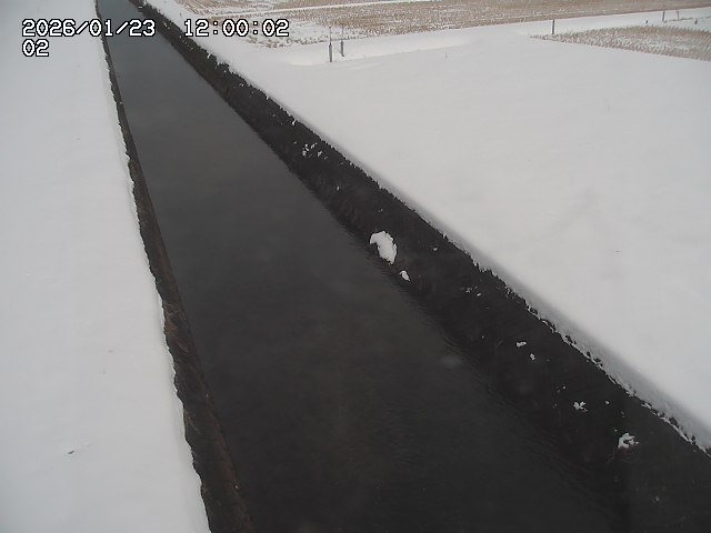 大倉川１2026/01/24 1:40:00