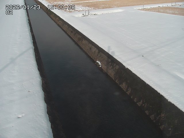 大倉川１2026/01/24 1:40:00