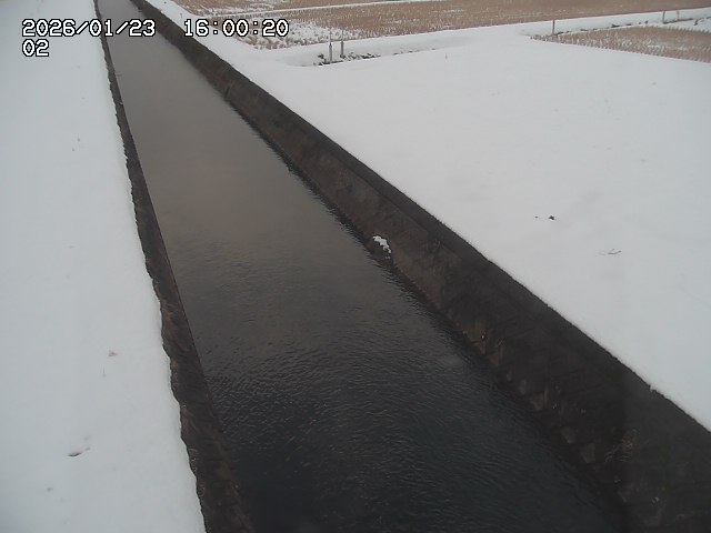 大倉川１2026/01/24 1:40:00