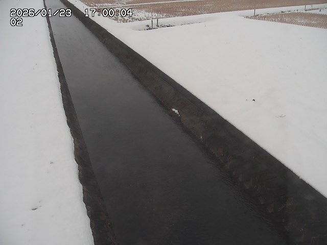 大倉川１2026/01/24 1:40:00