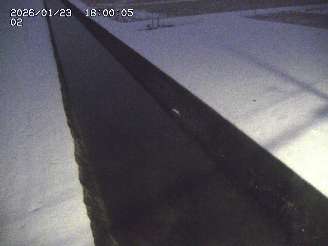 大倉川１2026/01/24 1:40:00