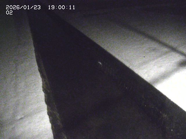 大倉川１2026/01/24 1:40:00