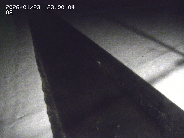 大倉川１2026/01/24 1:40:00