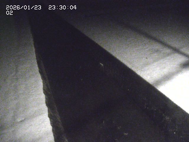 大倉川１2026/01/24 1:40:00