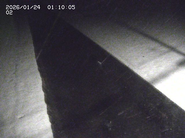 大倉川１2026/01/24 1:40:00