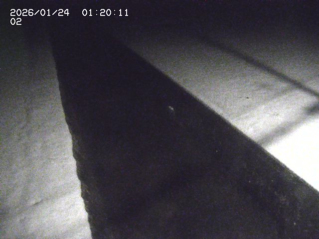 大倉川１2026/01/24 1:40:00