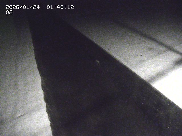 大倉川１2026/01/24 1:40:00