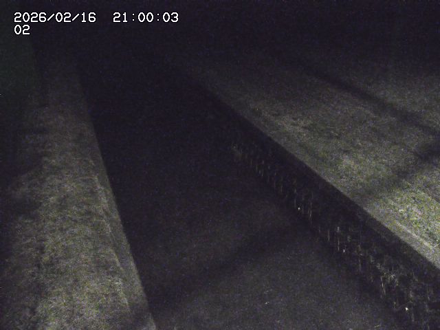 大倉川１2026/02/17 18:20:00