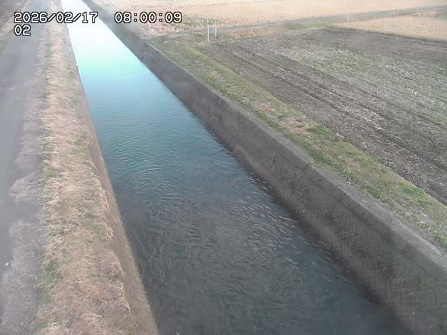大倉川１2026/02/17 18:20:00