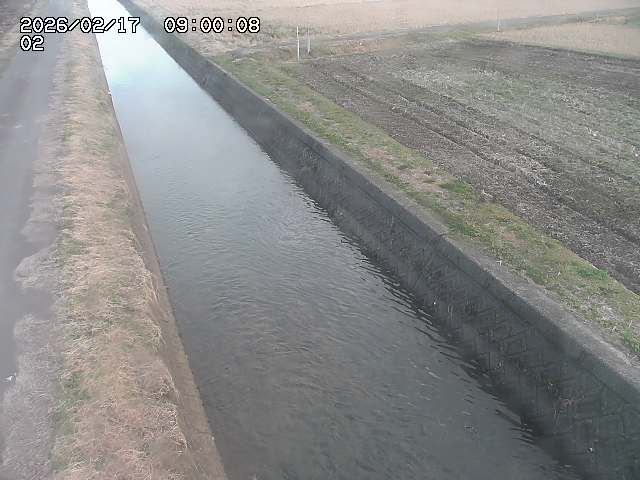 大倉川１2026/02/17 18:20:00