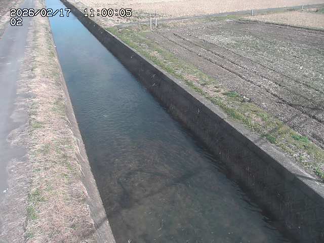 大倉川１2026/02/17 18:20:00